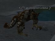 An enslaved Grikbar