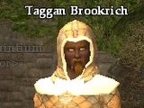 Taggan Brookrich