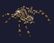 Race: Spider - to upload a more specific image, click JPG or PNG