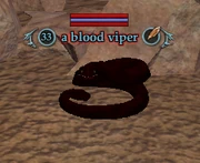 a blood viper