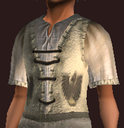 Male tradesman tunic (Equipped)