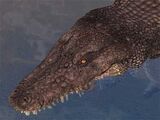 A Ykeshan crocodilian