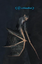 A bloodbat