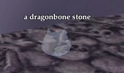 A "dragonbone stone", typically found against the inside of the dragon's ribcage