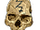 Aged Pygmy Skull