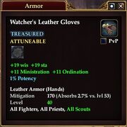 Watcher's Leather Gloves