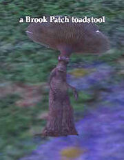 a Brook Patch toadstool
