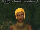 A forest warden