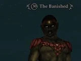 The Banished