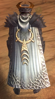 Cloak of the Silver Guardian (Visible)