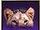Icon purple lioness head.jpg