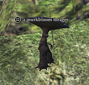 A murkbloom forager