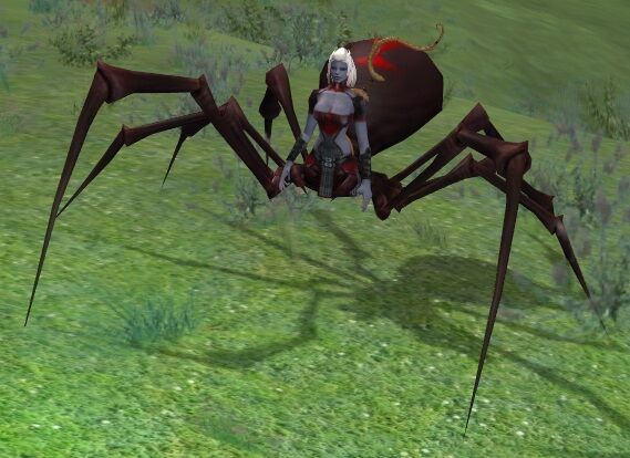 Everquest Live! - Guide - Farming Spider Silk 