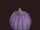 Bruised Flesh Pumpkin