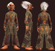 Crimson Star Robe (Equipped)