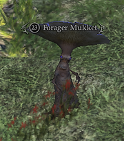 Forager Mukket