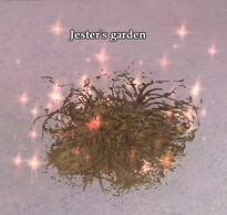 Jesters garden