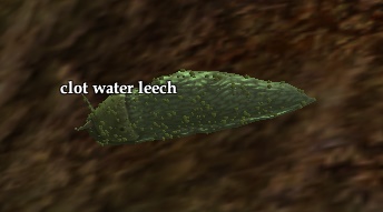 Pathosis Less Traveled EverQuest 2 Wiki Fandom Latest