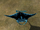 An ocean glider.png