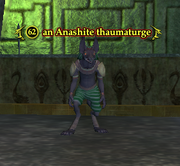 An Anashite thaumaturge