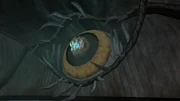 The eye-shaped throne of 