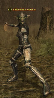 A Bloodsaber watcher