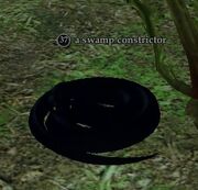 A swamp constrictor