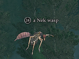 A Nek wasp