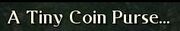 Scry coin purse.jpg