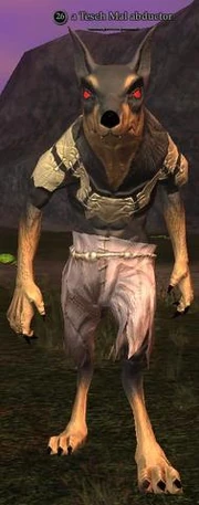 A Tesch Mal abductor