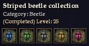 CQ beetle striped Journal