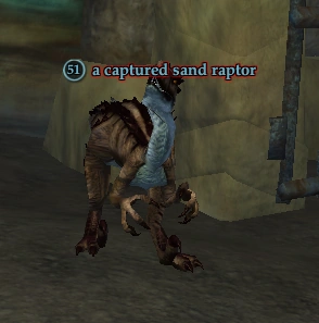 a captured sand raptor | EverQuest 2 Wiki | Fandom