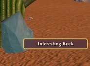 rock at Camp K'taakh