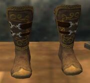 The Legendary Journeyman's Boots (Visible)