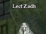 Lect'Zadh