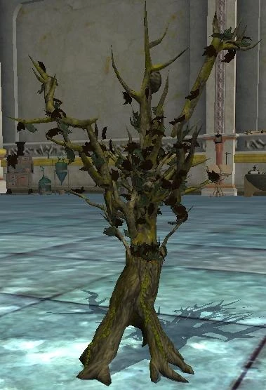 Treant Sapling | EverQuest 2 Wiki | Fandom