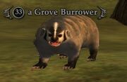 A Grove Burrower