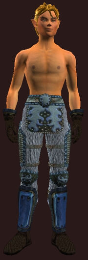 Cloth Armor of the Sage(Worn)