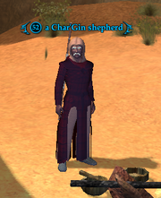 A Char'Gin shepherd