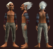 Chrono-Bound Cloth Shoulders (Equipped)