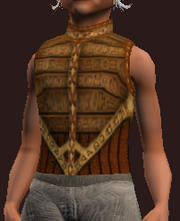 Elysian Hauberk of the Gambler (Equipped)