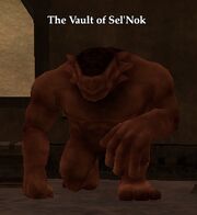 The Vault of Sel'Nok