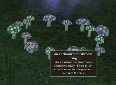 A portal to worlds unseen...