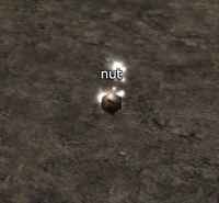 Seed Sampling nut.png