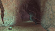 Underrot Caverns Moldy Crypt