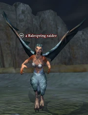 A Balespring raider