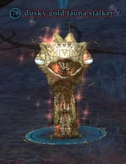 Dusky gold fauna stalker
