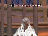 A Naar'Yora defender