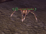 A crypt feeder