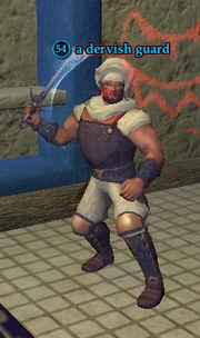 A dervish guard